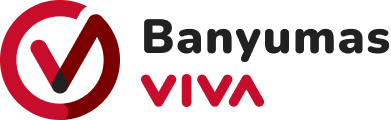 Logo VIVA.co.id